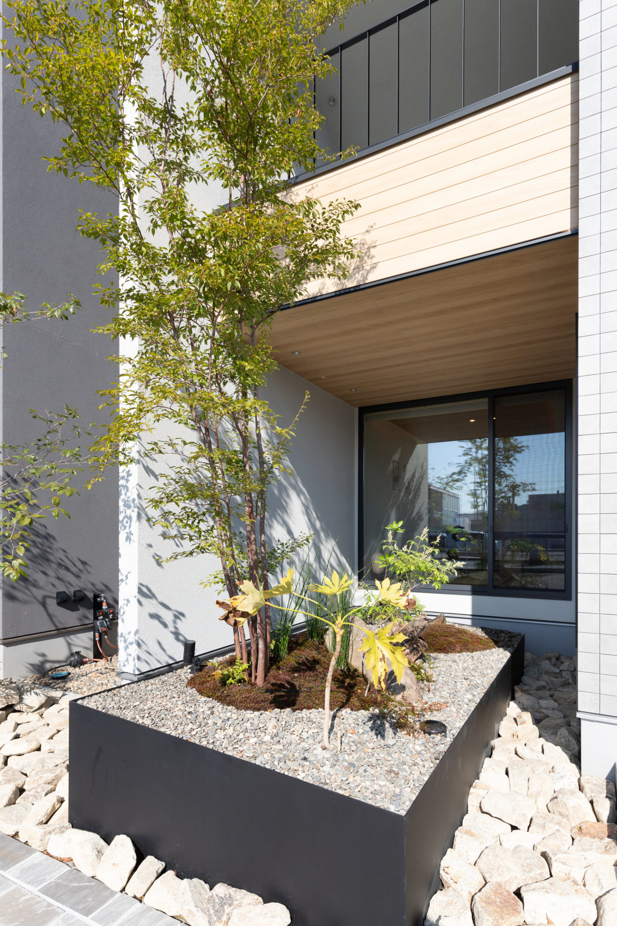 ヒメシャラをシンボルツリーとした坪庭の施工写真